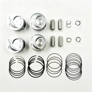 Engine Piston & Ring Set 23040-2G500